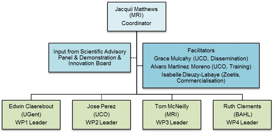 Organization