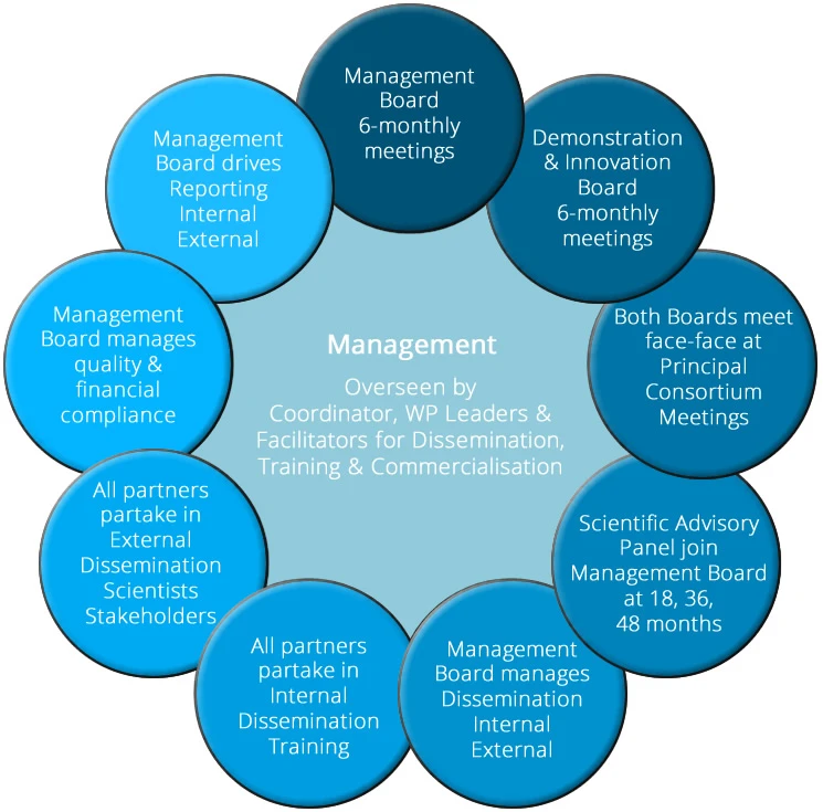 management