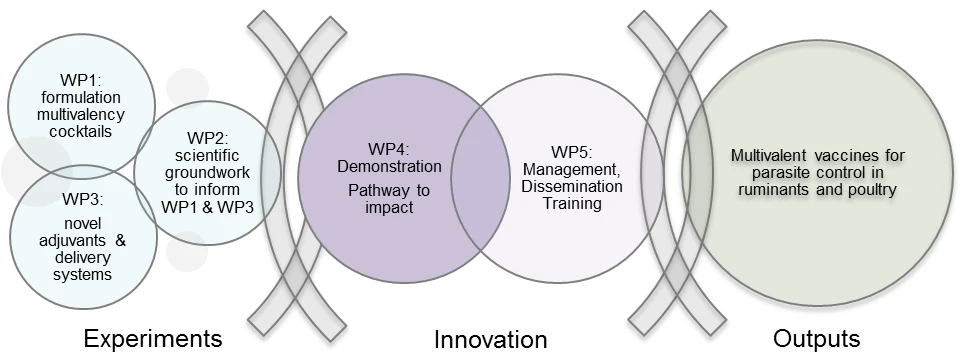 pathway-to-impact