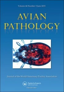 Poultry Red Mite
