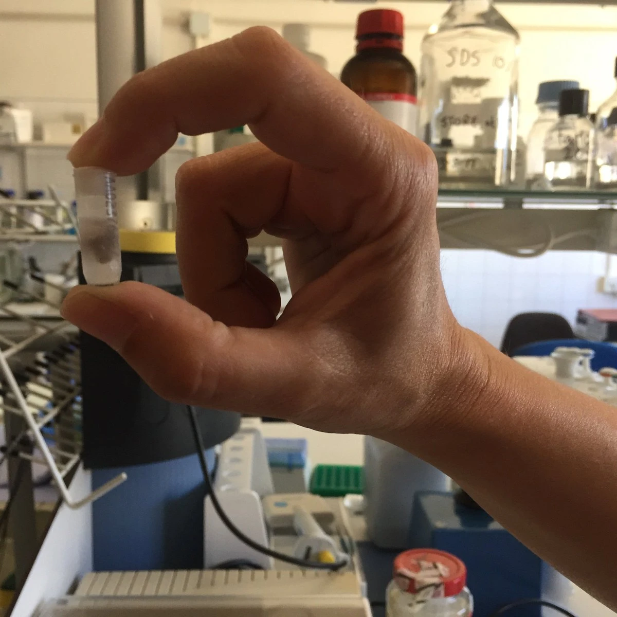 Fluke Biobank