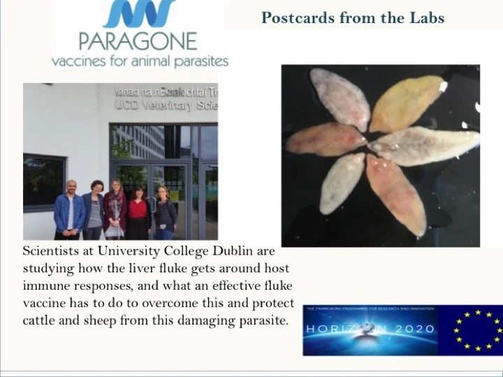 Slide3