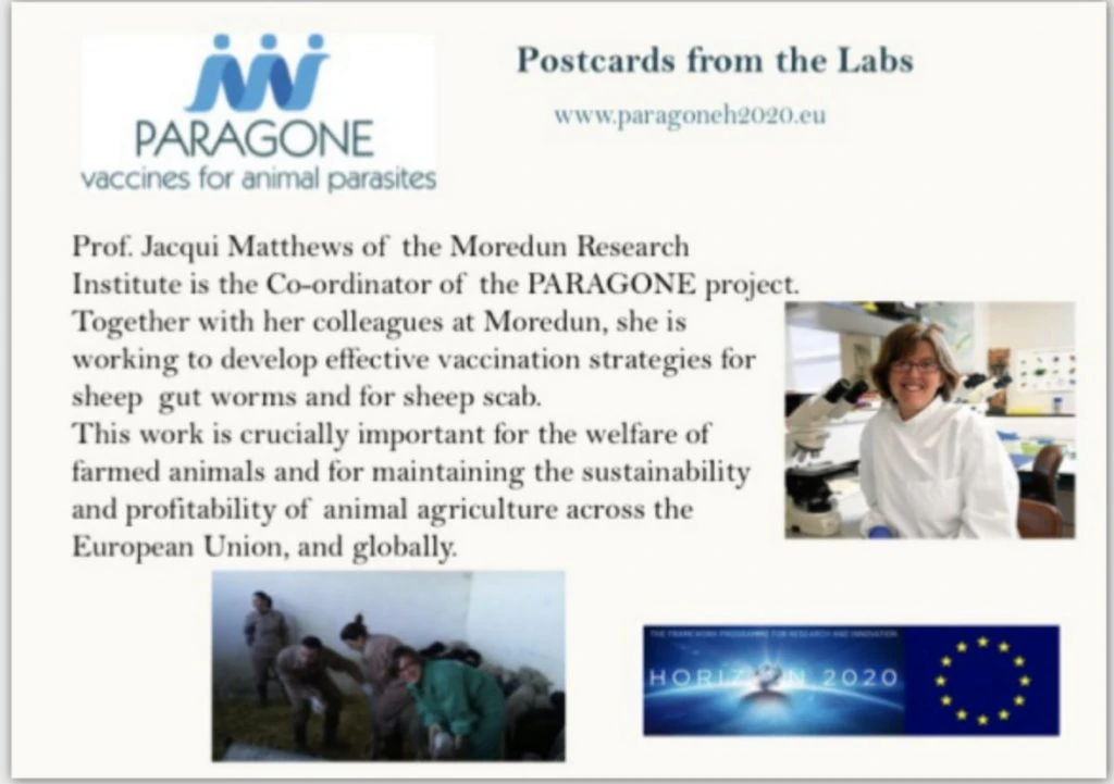 slide4